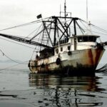 El hambre de pescado de China aumenta en América Latina