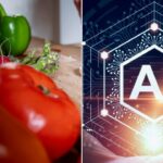 Los expertos en salud expresan su preocupación por las aplicaciones de inteligencia artificial que afirman ser asistentes de nutrición de bolsillo