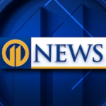 El error del sitio web puede haber expuesto miles de datos personales de parejas del condado de Allegheny – WPXI