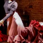 Clase de español: ‘Luminaria Flamenca’ se beneficia del plan educativo |
