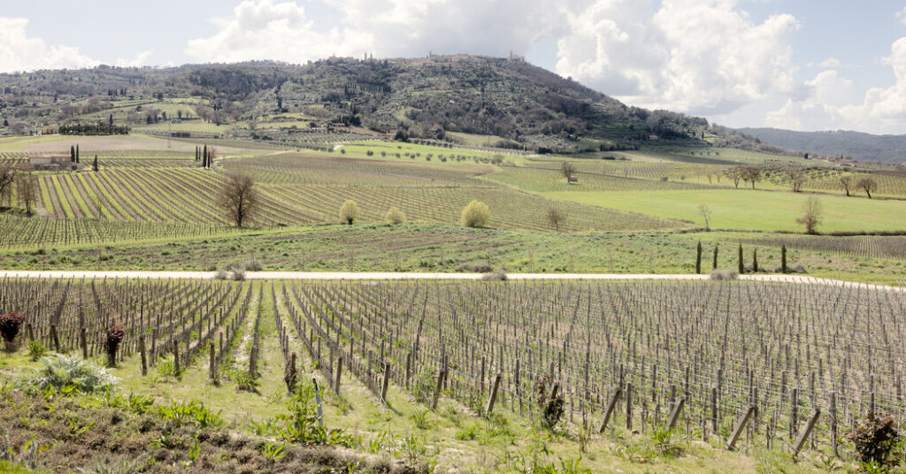 Close Chianti: Tarif mantiene aranceles italianos en el suelo
