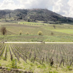 Close Chianti: Tarif mantiene aranceles italianos en el suelo