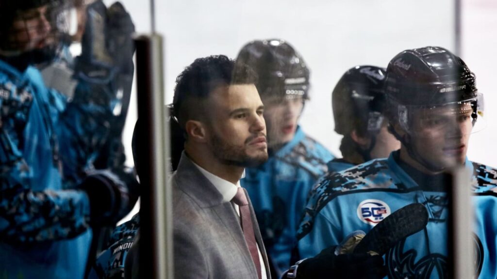 Color de hockey: Reddick, programa copresidente de HLCA HLCA Sumérgano