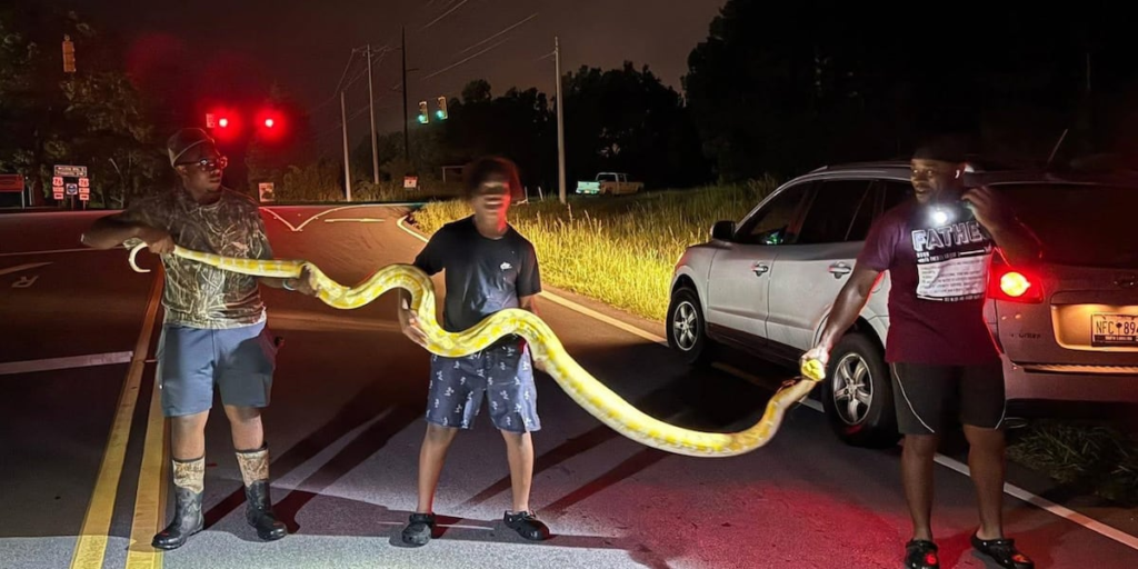 Python atrapado después del campus de la escuela cerca
