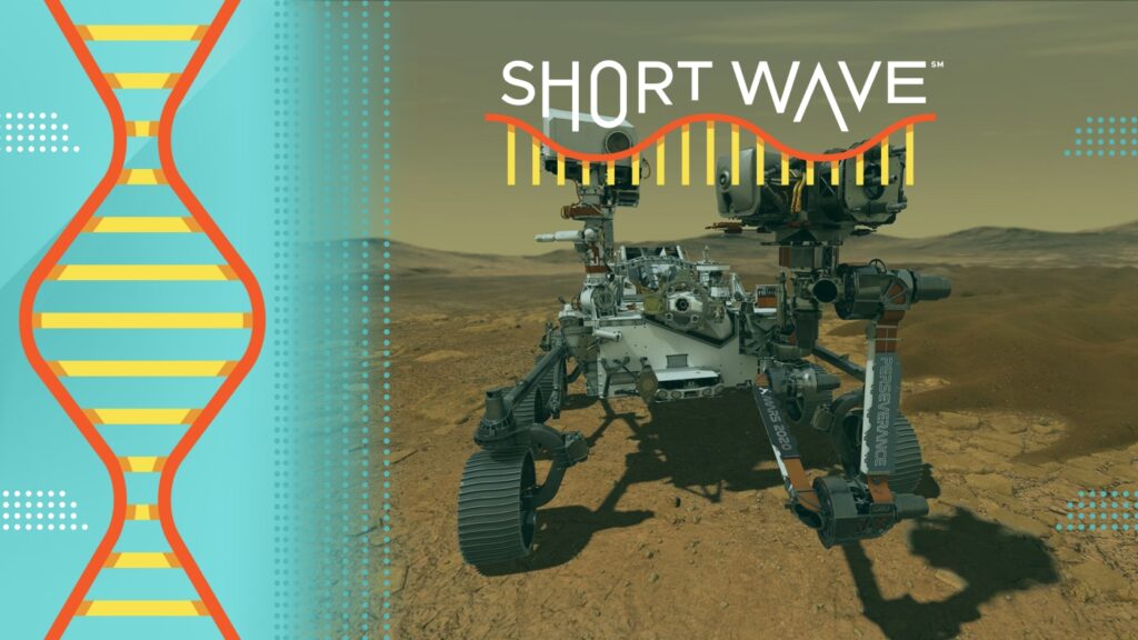 Las pistas de la NASA indican que en la vida antigua está en Marte: Short Kurt: NPR