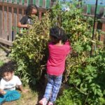 Educación infantil del día de inicio del Simposio de jornada completa