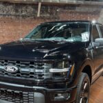 Ford y Tesla son las únicas marcas estadounidenses que obtienen el estatus CR Top 10