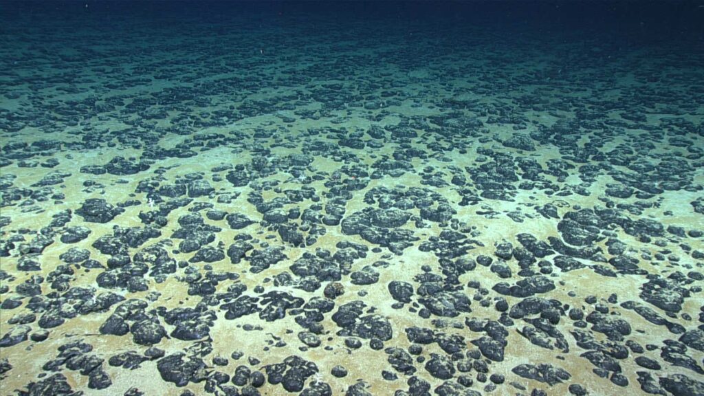 El descubrimiento de «oxígeno oscuro» bajo el mar «desafía fundamentalmente la termodinámica» y debería ser rechazado, afirman los expertos.