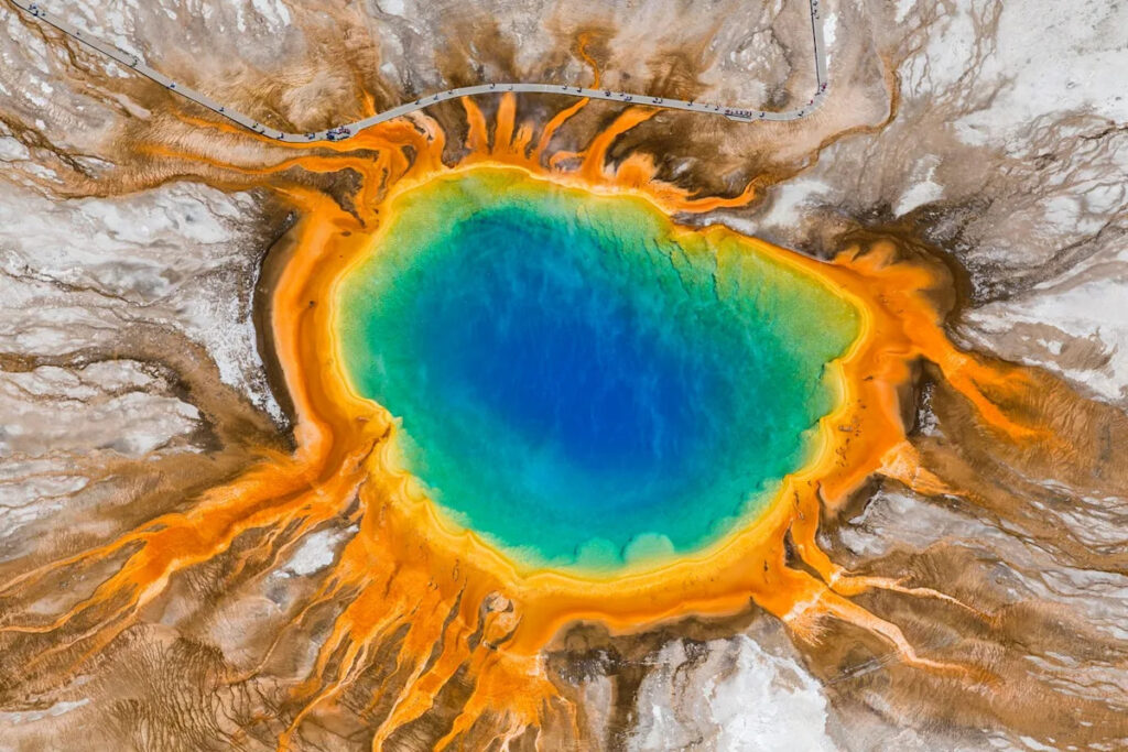 Los científicos creen que las criaturas más extremas de la Tierra podrían ayudar a salvar vidas humanas