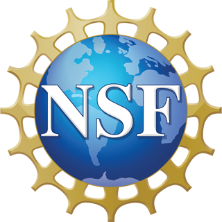 NSF ENG CBET Taller para profesores de carrera temprana | NSF