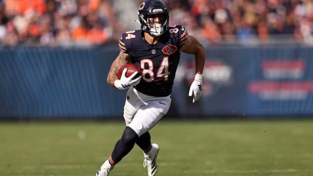 Colston Loveland de los Bears asistirá al ala cerrada universitaria